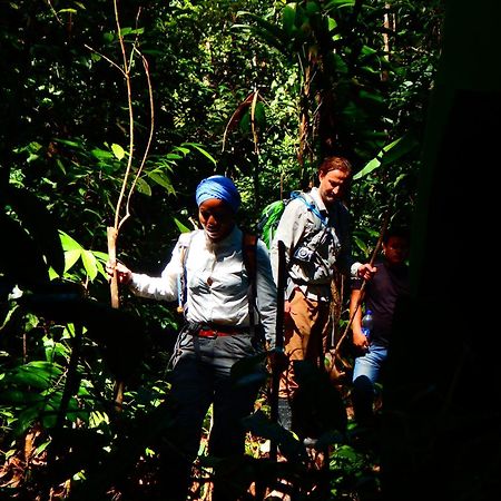 Amazon Acai Lodge Летісія Екстер'єр фото
