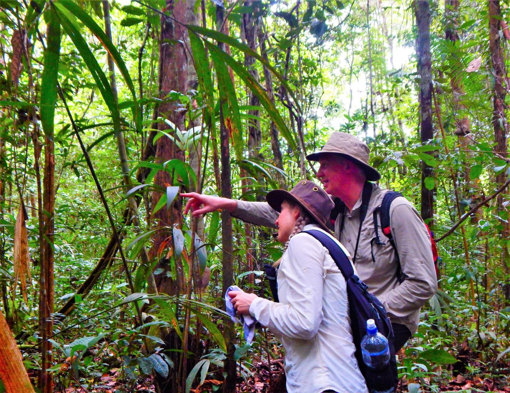 Amazon Acai Lodge Летісія Екстер'єр фото