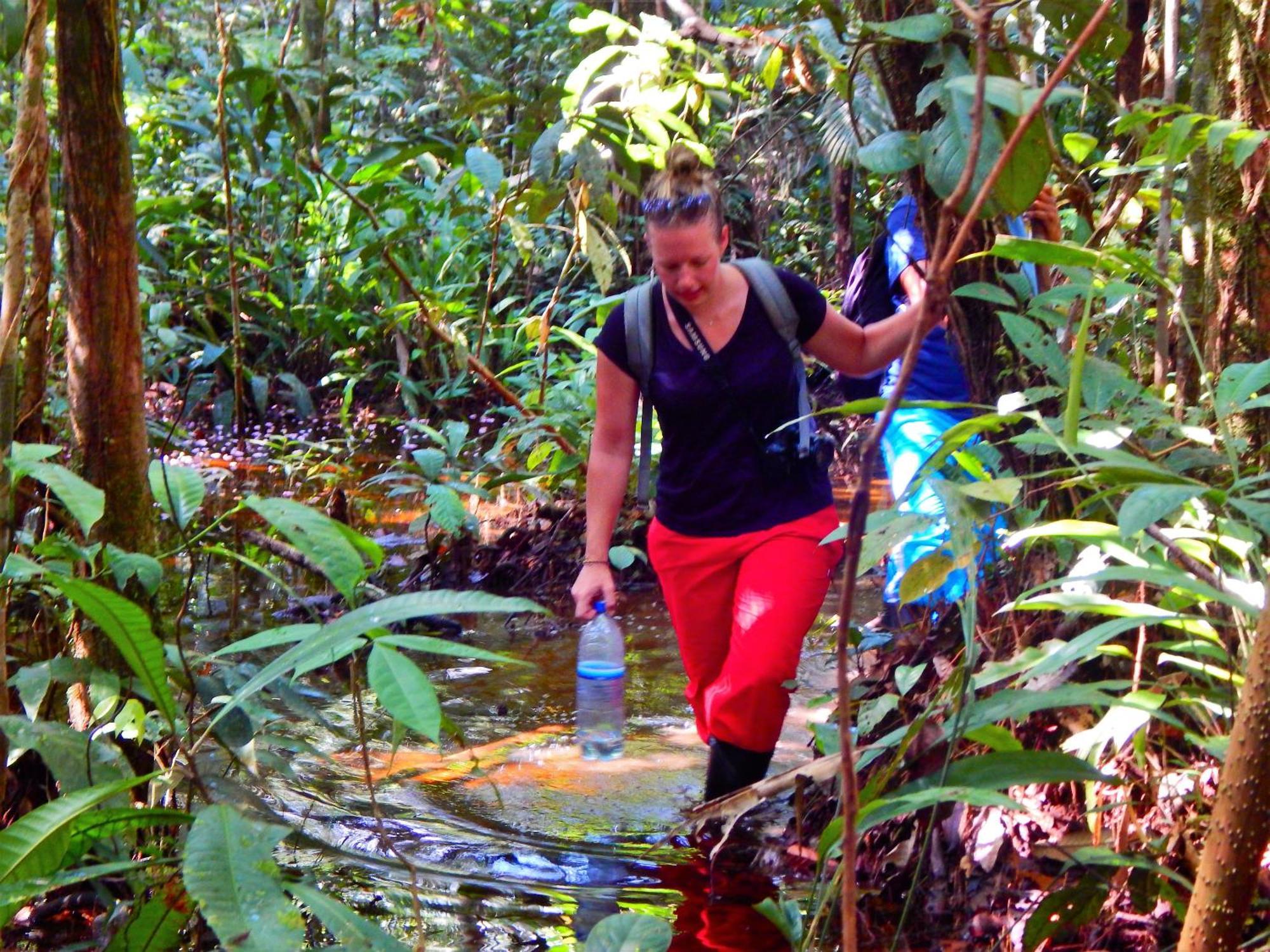 Amazon Acai Lodge Летісія Екстер'єр фото