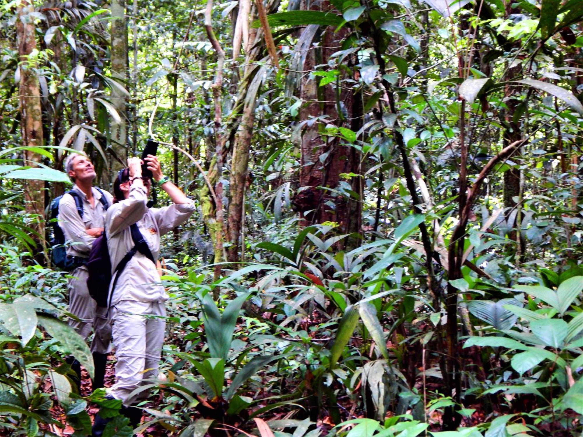 Amazon Acai Lodge Летісія Екстер'єр фото