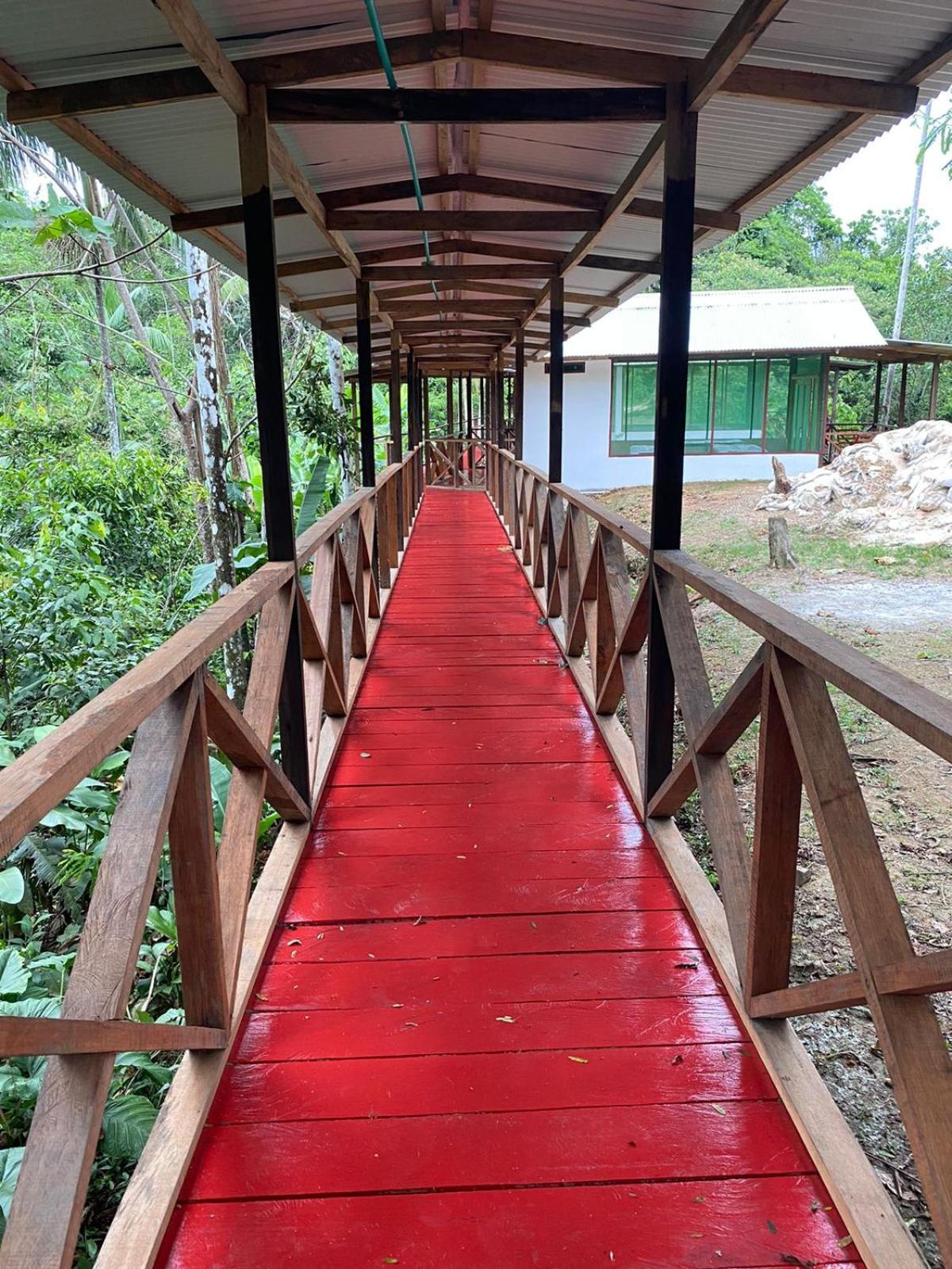 Amazon Acai Lodge Летісія Екстер'єр фото