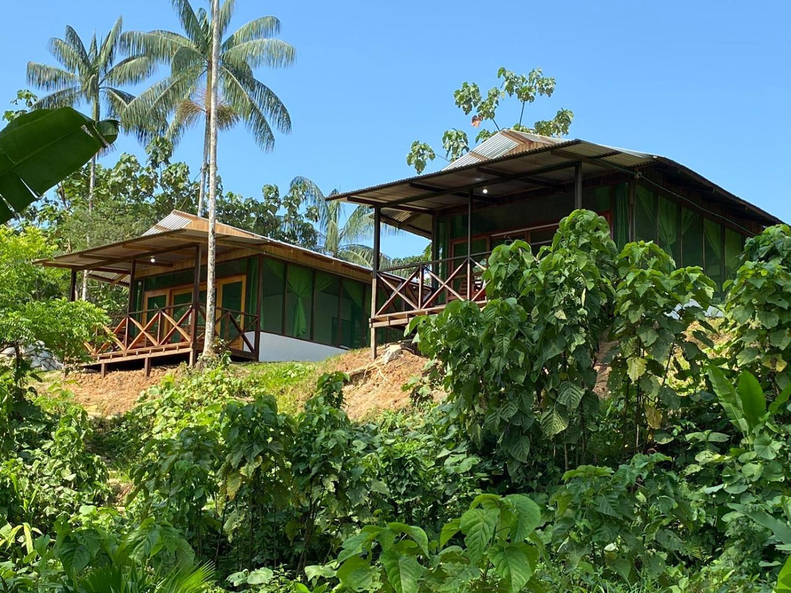 Amazon Acai Lodge Летісія Екстер'єр фото