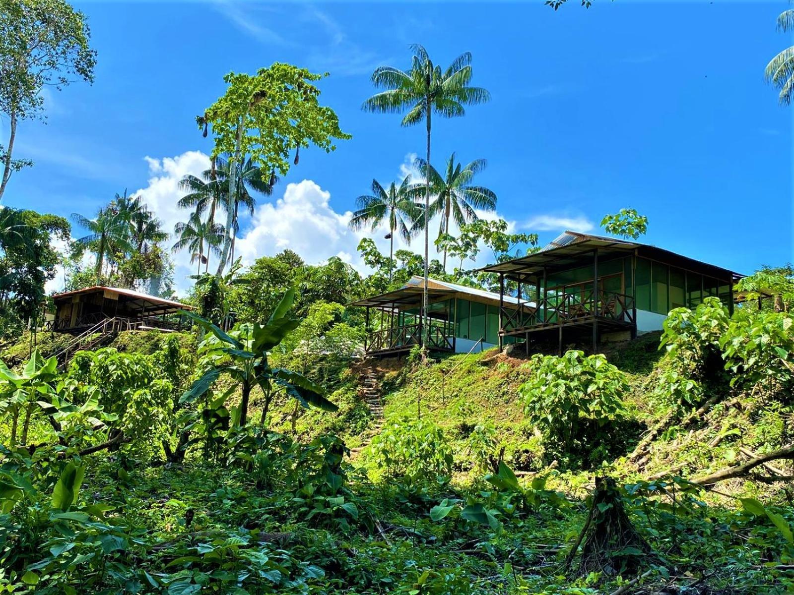 Amazon Acai Lodge Летісія Екстер'єр фото